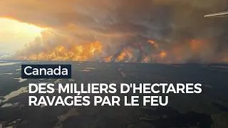 Miniature : Des milliers d'hectares ravagés par le feu au Canada - RTBF Info
