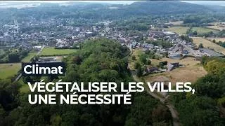 Miniature : Climat et fortes chaleurs : quand végétaliser les villes devient une nécessité - RTBF Info