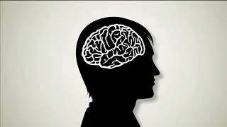 Miniature : Autisme : La plasticité cérébrale