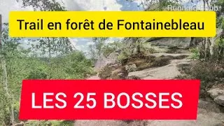 Miniature : LES 25 BOSSES POV
