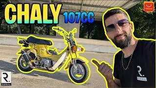 Miniature : Mon Honda Chaly Import Japon 🇯🇵 | Moteur 107cc, Carbu & Échappement Modifiés !
