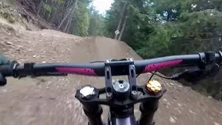 Miniature : Bike Park Les Angle piste noir Black swan