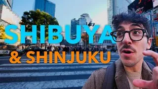 Miniature : les meilleurs quartiers de Tokyo : SHIBUYA et SHINJUKU - vlog japon