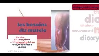 Miniature : les besoins du muscle