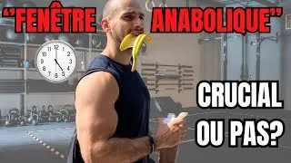 Miniature : FAUT-IL CONSOMMER DES PROTÉINES APRES TA SÉANCE DE MUSCULATION ?