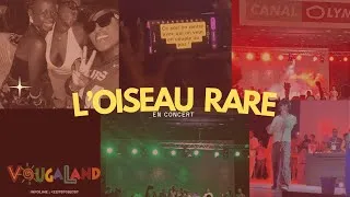 Miniature : Vlog Concert : L’Oiseau Rare en Live 