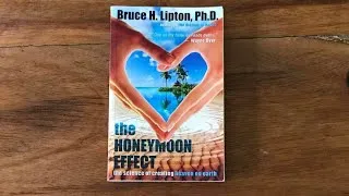 Miniature : #HoneyMoon Effect Book - Partie 1- Les Bonnes Vibrations-   L'effet de lune de miel.