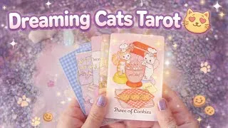 Miniature : Le DREAMING CATS TAROT de Woni 🍪🐈🐱 un jeu doux, kawaï et cosy 