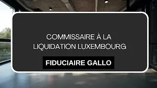 Miniature : Commissaire à la liquidation Luxembourg