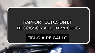 Miniature : Rapport de fusion et de scission au Luxembourg