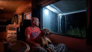 Miniature : Caught in Heavy Rain with My Dog 🌧️🐕