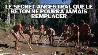 Miniature : Comment les peuples amazoniens contrôlaient l’humidité sans béton ni technologie