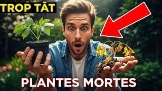 Miniature : 90% des Jardiniers Font Cette Erreur au Printemps (Et Ruinent Tout)