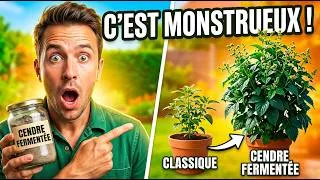 Miniature : Cendre fermentée : une seule différence, des résultats impossibles à ignorer