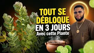 Miniature : TOUT SE DÉBLOQUE EN 3 JOURS avec cette plante miraculeuse (recette puissante)