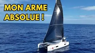 Miniature : Les Canaries : d’un monde à l’autre !