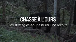 Miniature : Born to Hunt | Trucs pour bien préparer son site de chasse à l’ours