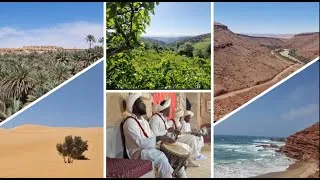 Miniature : Road trip en side-car entre Oasis et Désert en 2025 Un aperçu des différents paysages au Maroc