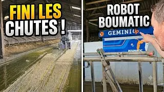 Miniature : Notre quotidien d'éleveurs : fini les chutes, robot Boumatic