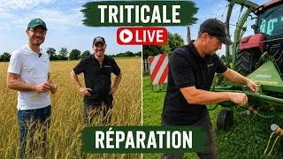 Miniature : Notre quotidien d'éleveurs : des news 