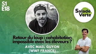 Miniature : RETOUR du LOUP : Cohabitation IMPOSSIBLE avec les ELEVEURS ? avec Mael Guyon (WWF France) S1 E18