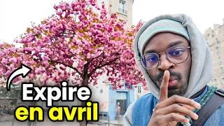 Miniature : Que Faire en Avril à Paris : 11 activités à faire !