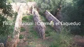 Miniature : #Tiklat #Tubusuptu, Mémoire Romaine Enfouie dans la Montagne de Kabylie Algérie 