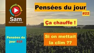 Miniature : Pensées du jour #22 .L'inaction fait monter la température alors on agit avec le plan clim !