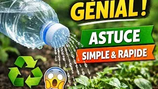 Miniature : Ne jette plus tes bouteilles ! Cette astuce arrosoir est géniale 💧
