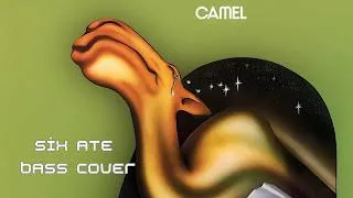 Miniature : Six Ate - Camel - Bass cover with tabs