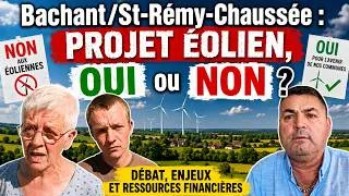 Miniature : Éoliennes : menace ou opportunité ?