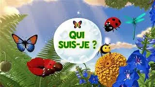 Miniature : 🦋 QUI SUIS-JE ? | Quiz des Insectes pour Enfants | Saurais-tu reconnaître ces 7 insectes ?