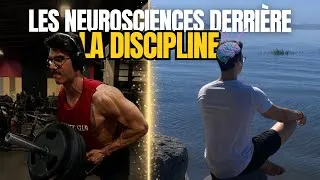 Miniature : La DISCIPLINE selon les NEUROSCIENCES