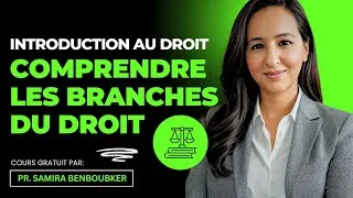Miniature : Introduction au Droit : Comprendre les Branches du Droit