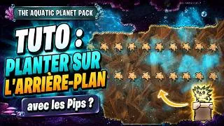 Miniature : Tuto : comment planter sur l'arrière plan avec les Pips? - The Aquatic Planet Pack