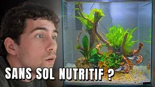 Miniature : Installation d'un aquarium à guppys planté SANS sol nutritif