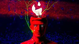 Miniature : Ton cerveau n'inventera jamais rien (et c'est prouvé)