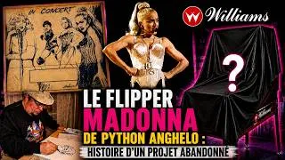 Miniature : Le flipper MADONNA de PYTHON ANGHELO : Histoire d'un projet abandonné...