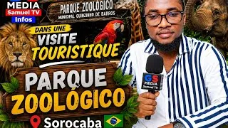 Miniature : VISITE EXCEPTIONNELLE AU PARQUE ZOOLÓGICO DE SOROCABA 🇧🇷 | GS MEDIA Samuel TV Infos