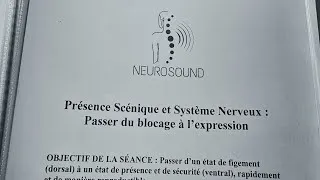 Miniature : Neurosciences et perception ambiguë 