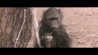 Miniature : Trouver de l'eau dans le desert (analogie du lâcher prise)