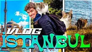 Miniature : Ce pays est REMPLI de CHATS ! Vlog Turquie