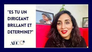 Miniature : Es tu un dirigeant brillant et déterminé?
