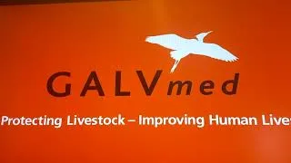 Miniature : GALVMED IMPROVING HUMAN LIVES
