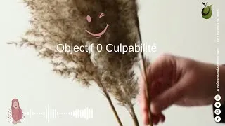 Miniature : Objectif 0 Culpabilité