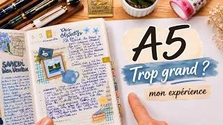 Miniature : Pourquoi choisir l'Hobonichi Techo A6 plutôt que le Cousin A5 pour le journaling ? Flip Through Mai