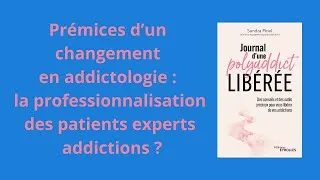 Miniature : Prémices d'un changement en addictologie : la professionnalisation des patients experts addictions ?