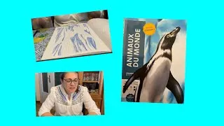Miniature : SPEED COLORING ANIMAUX DU MONDE 1