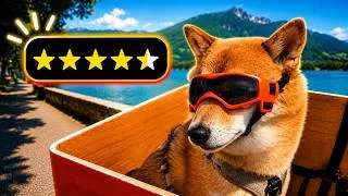 Miniature : C'est la MEILLEURE activité à faire avec ton chien cet été !