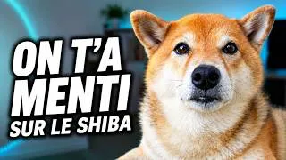 Miniature : Les 5 mensonges qu'on t'a dits sur le Shiba Inu